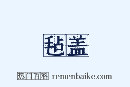 毡盖是什么意思的图片